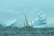 Concordia #44 Lacerta