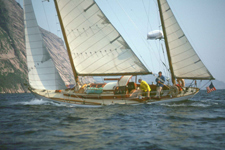 Concordia #44 Lacerta