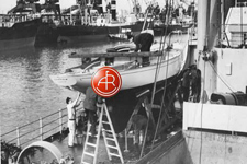 Concordia #44 Lacerta