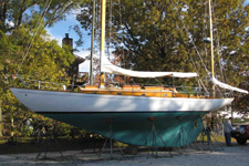 Concordia #44 Lacerta