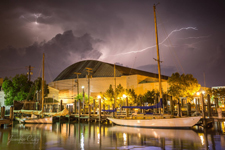 Concordia #44 Lacerta