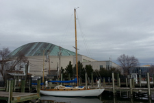 Concordia #44 Lacerta