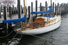 Concordia #44 Lacerta