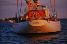 Loon Concordia #45 Loon