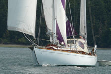 Concordia #46 Kodama