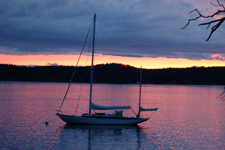 Concordia #46 Kodama