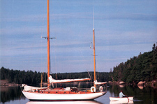 Concordia #49 Moonfleet