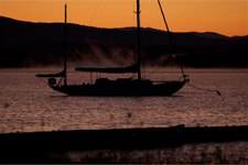 Moonfleet Concordia #49 Moonfleet