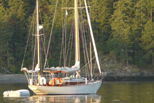 Concordia #51 Vintage