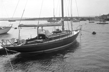 Concordia #52 Taliesin