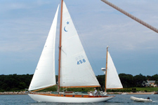 Concordia #53 Mr. Badger