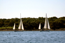 Concordia #53 Mr. Badger