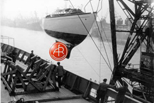 A&R 5271 Concordia #54 Horizon