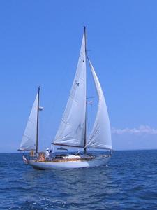 Whisper Concordia #56 Whisper