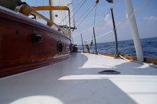 Whisper Concordia #56 Whisper