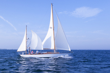 Concordia #57 Javelin