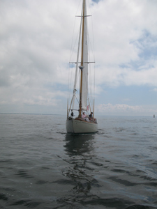 Sail #526 Concordia #63 Sonnet