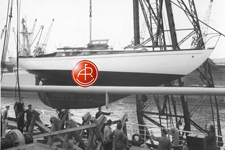 Concordia #64 Live Yankee