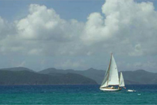 Golondrina Concordia #65 Golondrina