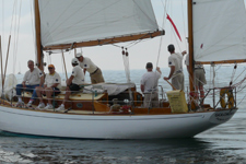 Golondrina Concordia #65 Golondrina