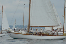 Golondrina Concordia #65 Golondrina