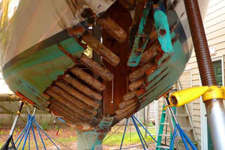 Golondrina #65 Golondrina #65