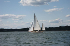 Golondrina in Portland, Maine Concordia #65 Golondrina