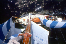 Concordia #44 Lacerta