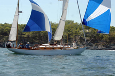 Down wind Concordia #66 Misty