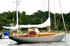 Concordia #67 Crocodile