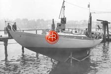 A&R 5452 Concordia #68 Persephone