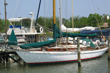 Polaris Concordia #71 Polaris