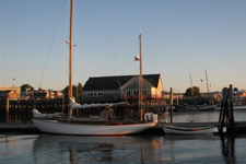 Portunus Concordia #75 Portunus