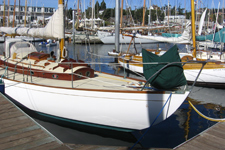 Sumatra Concordia #76 Sumatra