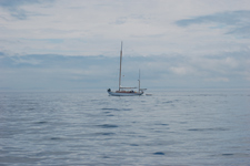 Pacific NW rendezvous July 2008 Concordia #76 Sumatra