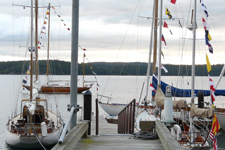 Sumatra Concordia #76 Sumatra