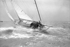 Sumatra Concordia #76 Sumatra