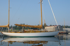 Concordia #80 Goldeneye