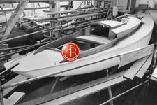 Concordia #80 Goldeneye