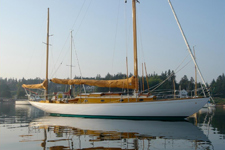 Concordia #80 Goldeneye