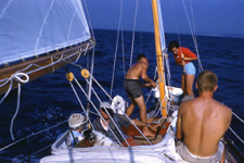 Concordia #82 Coriolis