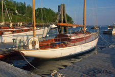 Concordia #84 Snow Falcon