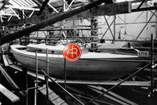 A&R 5719 Concordia #86 Dame