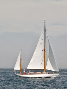 Cruising Buzzards Bay Concordia #91 Snowy Owl