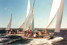 WoodenBoat/80 Concordia #91 Snowy Owl