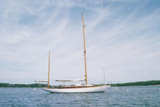 Snowy Owl Concordia #91 Snowy Owl