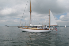 Savu Concordia #92 Eagle