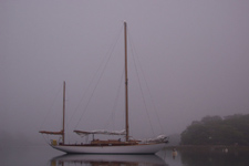 Concordia #99 Kee-Nee-Noh