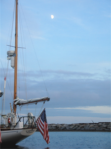 Captiva Concordia #100 Captiva