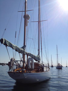 Captiva Concordia #100 Captiva